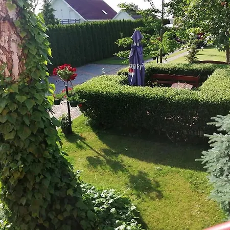 Apartmán Alba Regia *