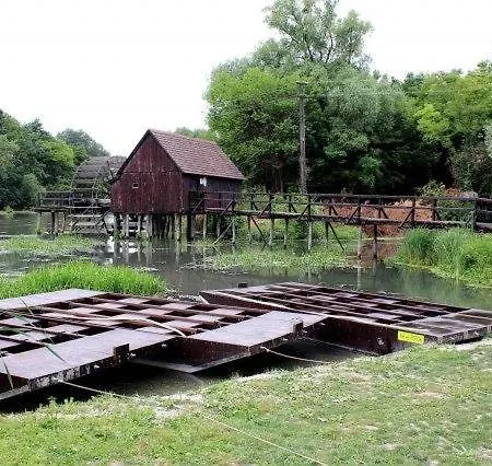 Apartment Alba Regia *