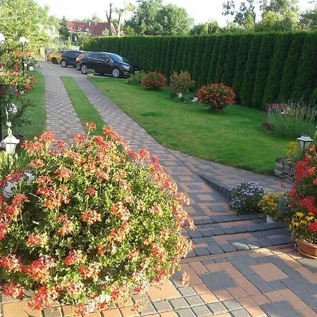 Apartmán Alba Regia