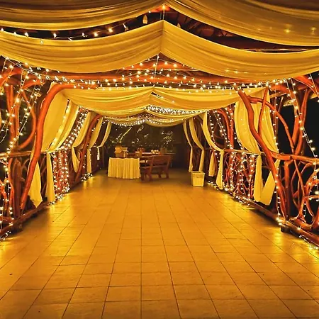 Alba Regia Apartment