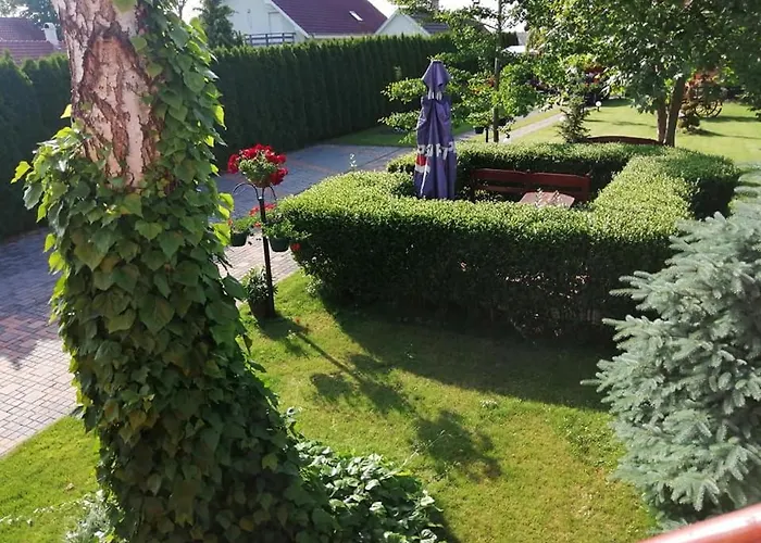 Apartman Alba Regia *
