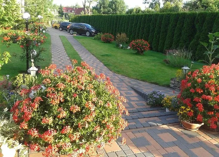 Apartman Alba Regia